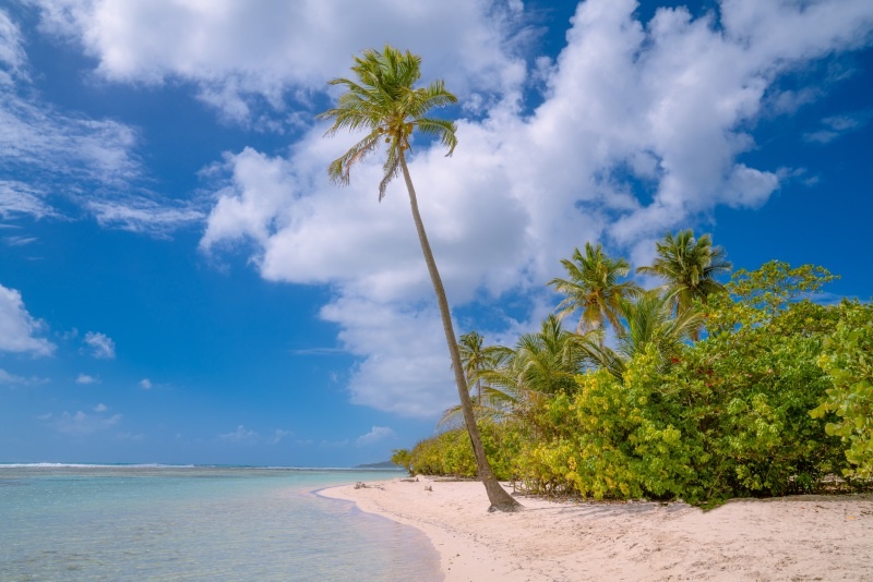 Ein tropischer Strand mit weißem Sand, an dem Palmen und üppiges Grün stehen. Der Himmel ist klar mit vereinzelten Wolken.